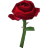 Rote Rose