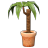 Topfpflanze