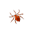 Spinne "Cooee"
